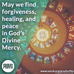 Pray for Life: Divine Mercy