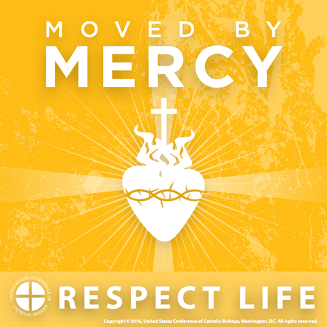 Respect Life Profile Picture: Moved by Mercy
