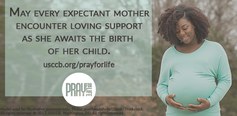 Pray for Life: Supporting Expectant Mothers (www.usccb.org/prayforlife)