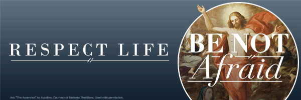 Respect Life Email Banner: Be Not Afraid
