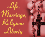 brown rosary life marriage religious liberty 150x125-web-button