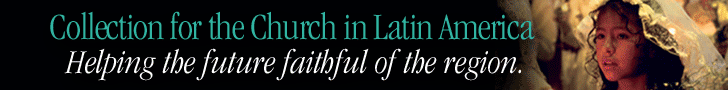 Collection for Latin America - Web Ad 4