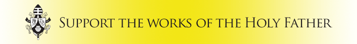 PPC web ad 2 