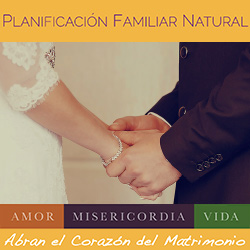 NFP - Natural Family Planning Grafico