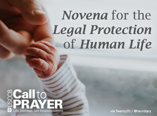 Call to Prayer - Novena for the Legal Protection of Human Life Montage Image