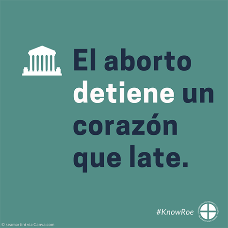 #KnowRoe Image 8 - Spanish - 470