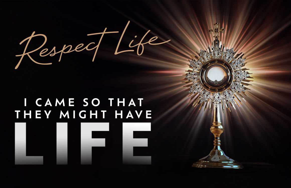 2024-25 Respect Life Resources