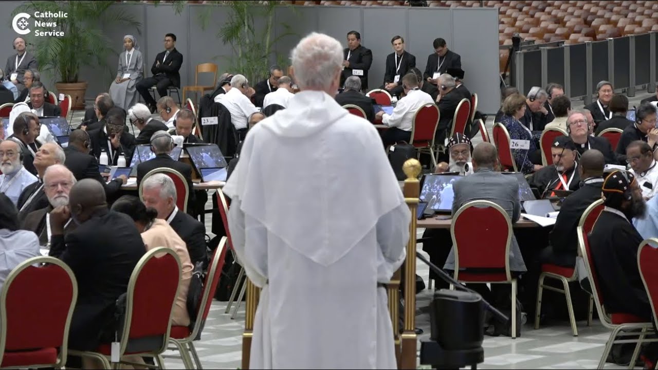 Voices from the synod on synodality