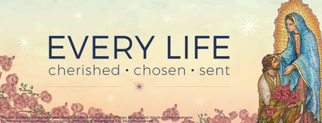 Respect Life Program 2018 - Theme Web Banner