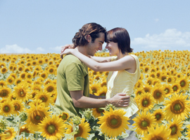 couple-kissing-in-sunflower-field-montage