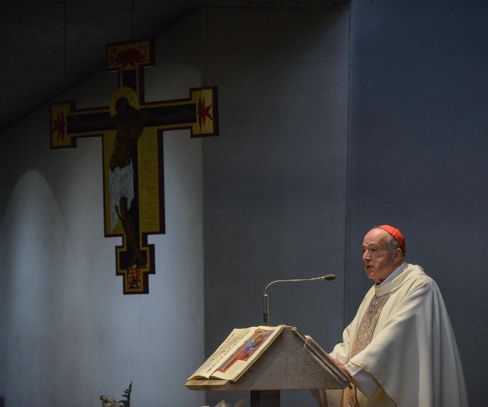 Cardinal McElroy preaching