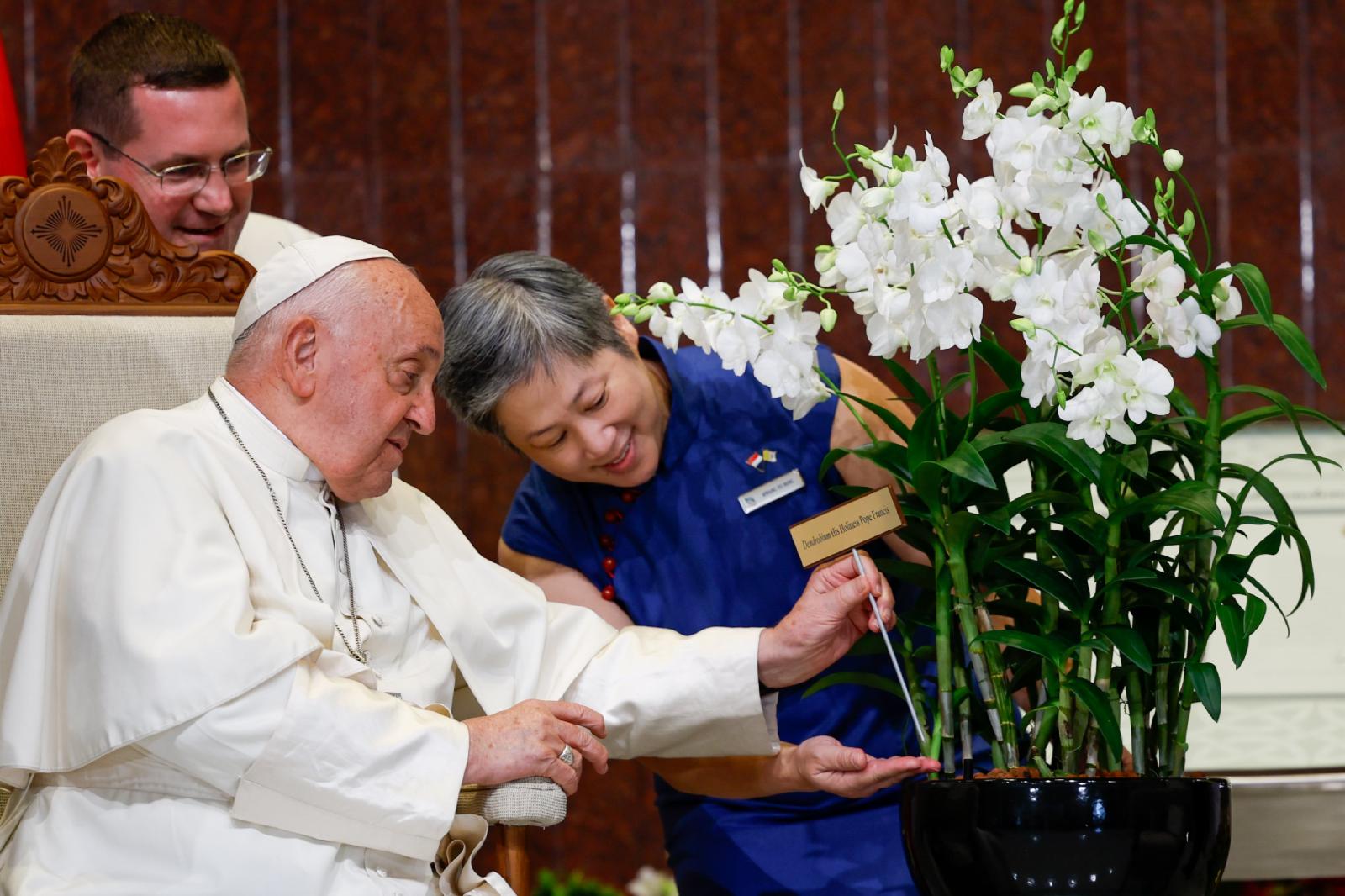 pope orchids