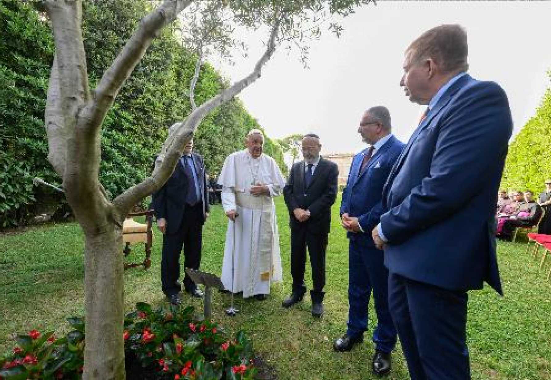 Under olive tree planted as sign of peace, pope begs God to help Holy Land