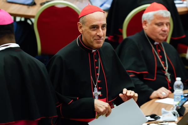 Cardinal Fernández at the synod