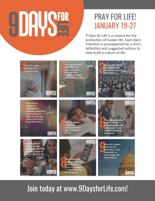 9 Days for Life Daily Intentions Flyer USCCB