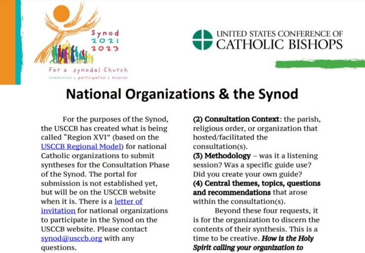 Synod information for national organizations
